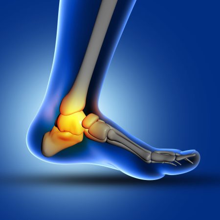 3D render of a medical image of close up of ankle bone in foot